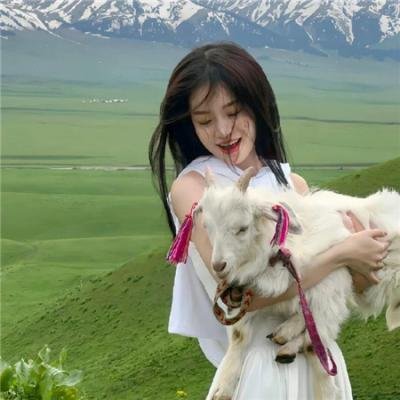 第六个嫌疑人封面